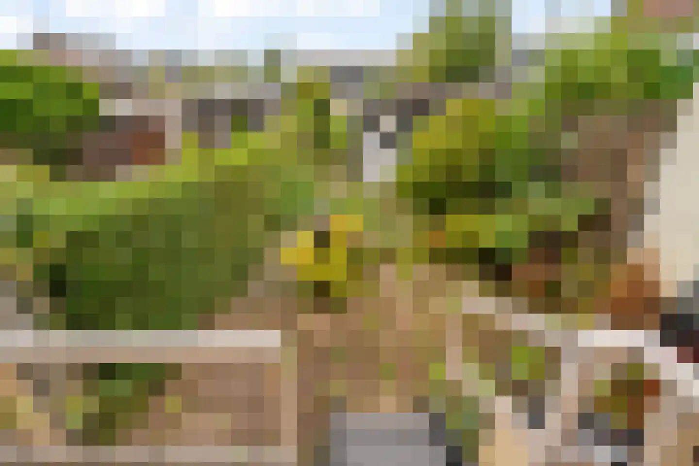 Kanaalweg 32 Capelle aan den IJssel thumbnail 30
