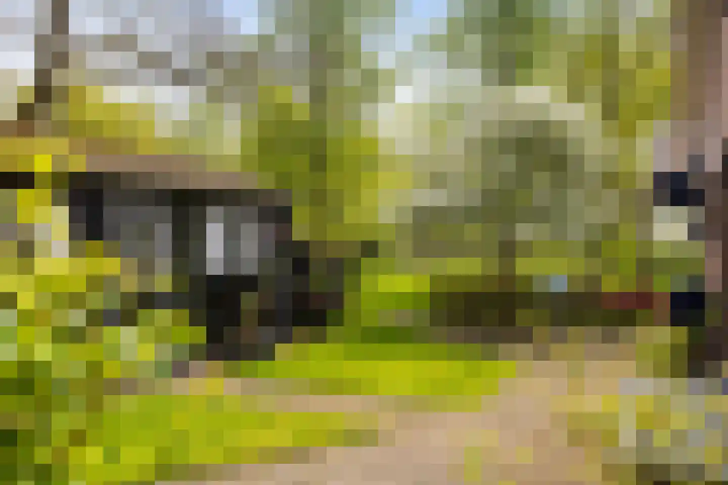 Kanaalweg 32 Schoonebeek thumbnail 11