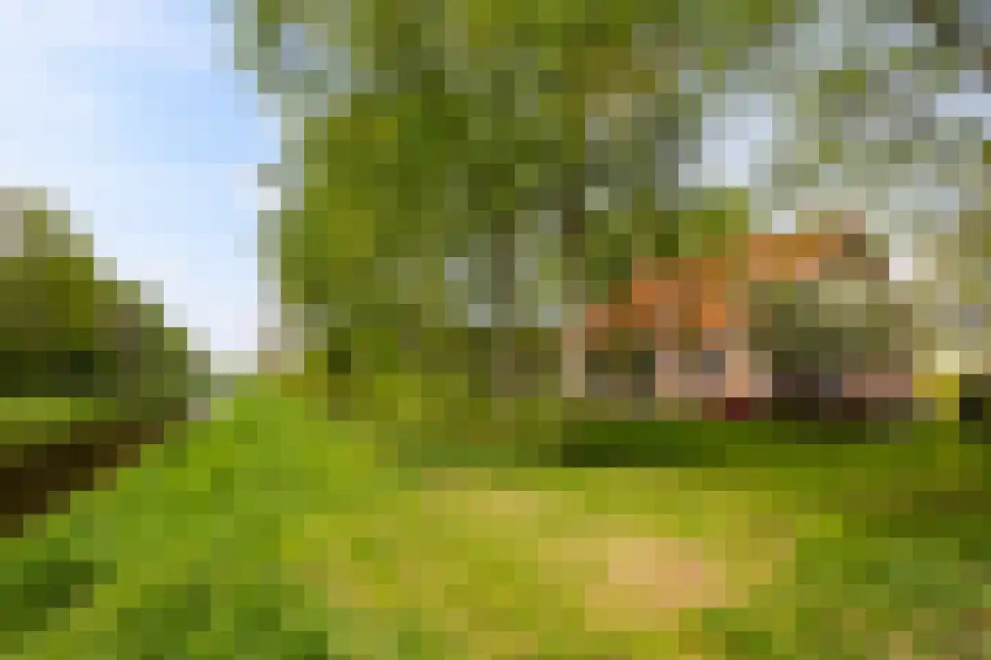 Kanaalweg 32 Schoonebeek thumbnail 4
