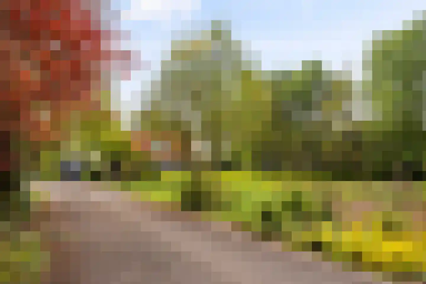 Kanaalweg 32 Schoonebeek thumbnail 43