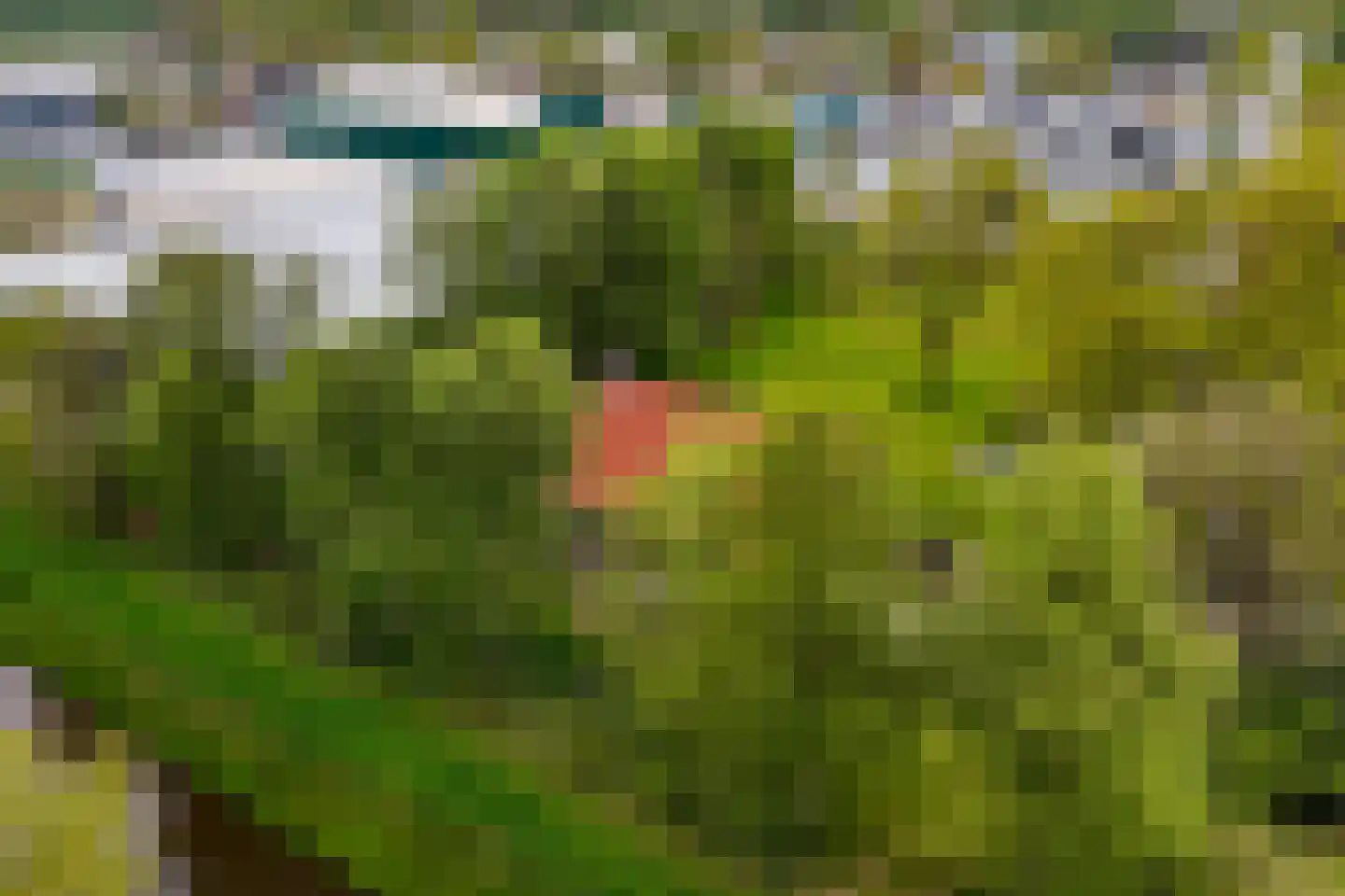 Kanaalweg 32 Schoonebeek thumbnail 46