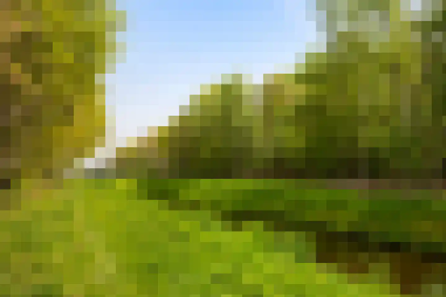 Kanaalweg 32 Schoonebeek thumbnail 47