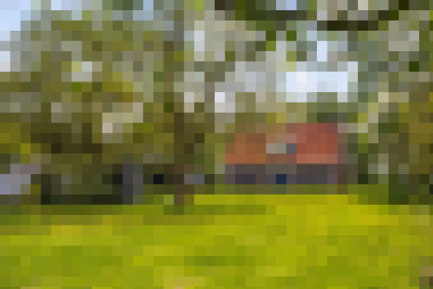 Kanaalweg 32 Schoonebeek thumbnail 7
