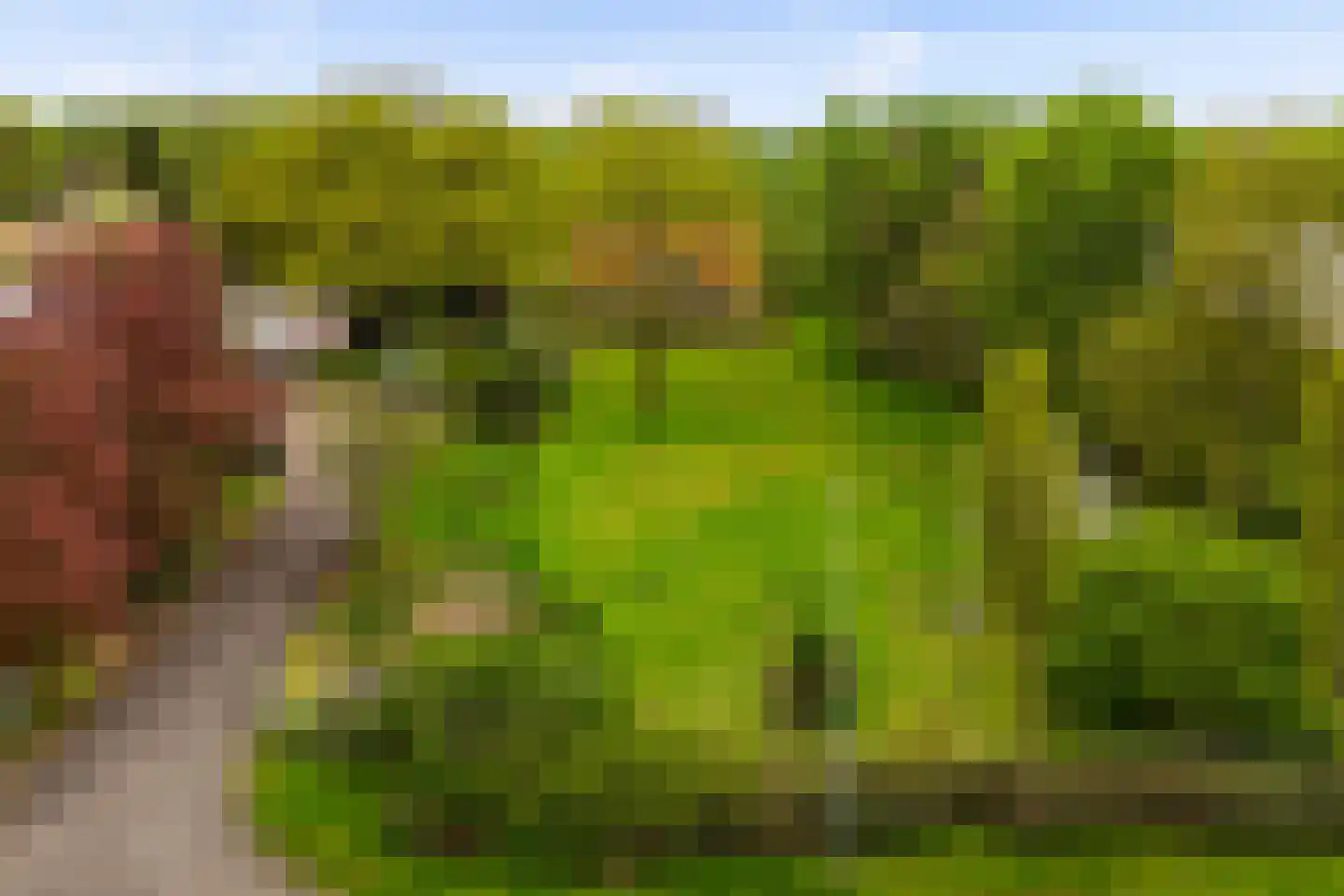 Kanaalweg 32 Schoonebeek thumbnail 8
