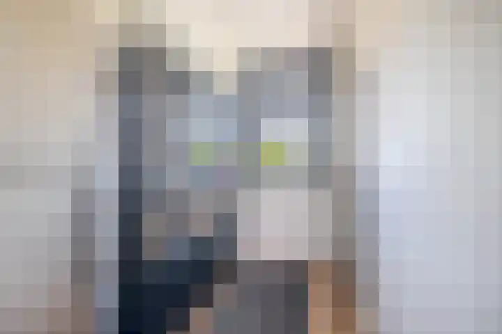 Kanaalweg 34 Capelle aan den IJssel thumbnail 18
