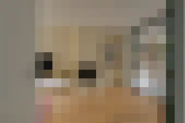 Kanaalweg 34 Leiden thumbnail 8