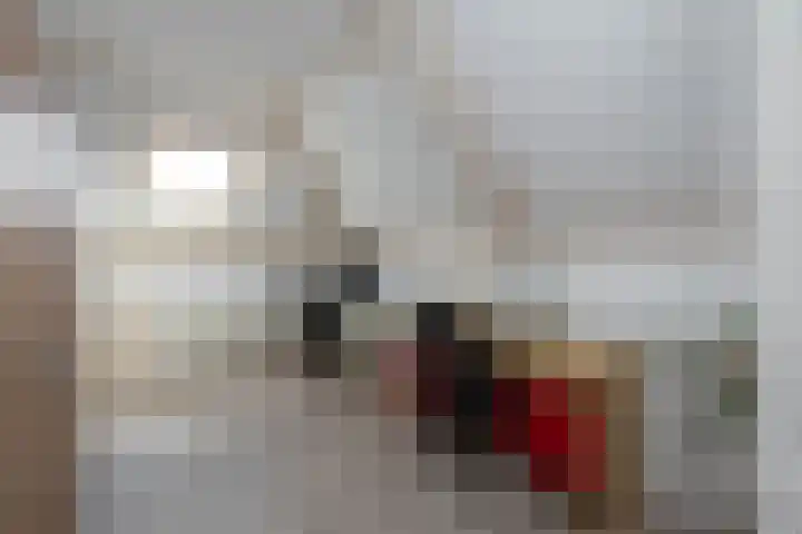 Kanaalweg 5 Albergen thumbnail 18