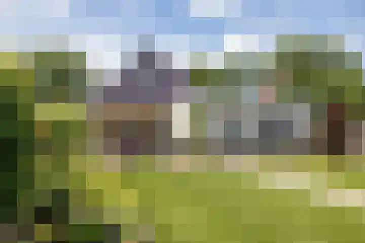 Kanaalweg 5 Albergen thumbnail 20