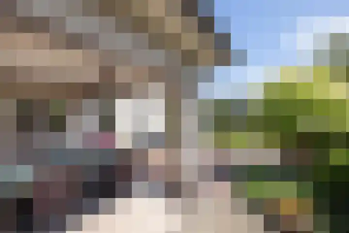 Kanaalweg 5 Albergen thumbnail 21