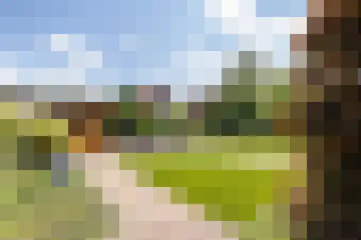 Kanaalweg 5 Albergen thumbnail 22