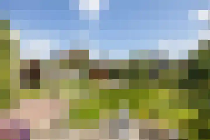Kanaalweg 5 Albergen thumbnail 4