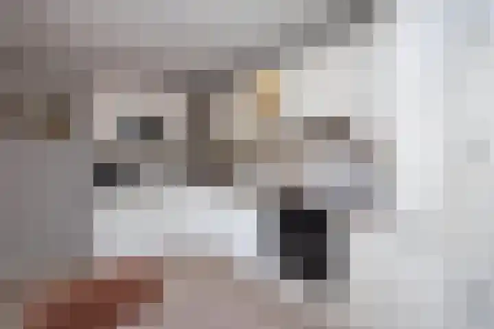 Kanaalweg 5 Albergen thumbnail 9