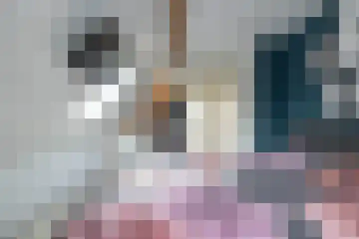Kanaalweg 51 Hoogeveen thumbnail 33