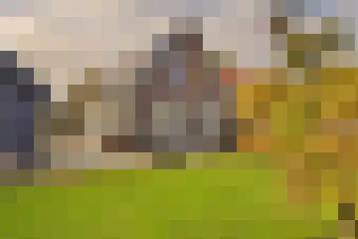Kanaalweg 51 Hoogeveen thumbnail 5
