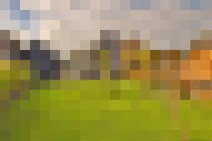 Kanaalweg 51 Hoogeveen thumbnail 55