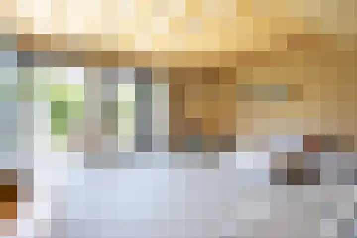 Kanaalweg 54 Heiloo thumbnail 4