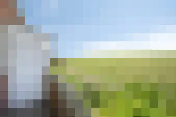 Kanaalweg 67 Den Helder thumbnail 10