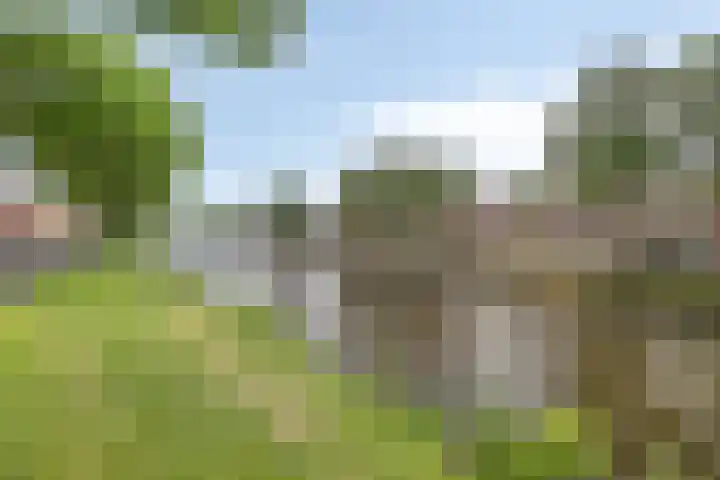 Kanaalweg 67 Den Helder thumbnail 24