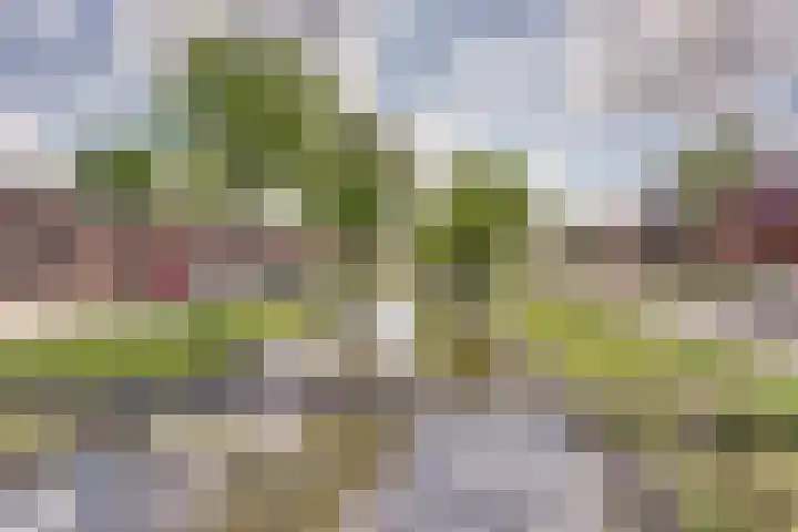 Kanaalweg 68 Hoogeveen thumbnail 5