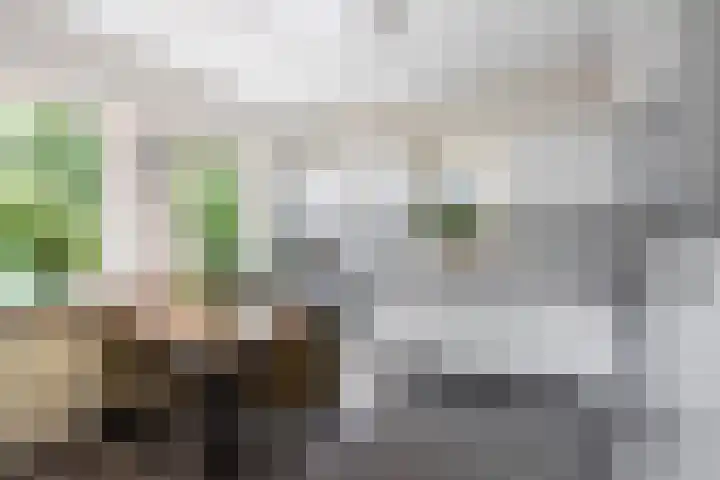 Kanaalweg 7 Albergen thumbnail 10