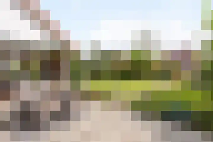 Kanaalweg 7 Albergen thumbnail 19
