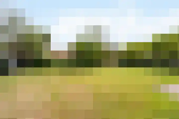 Kanaalweg 7 Albergen thumbnail 20