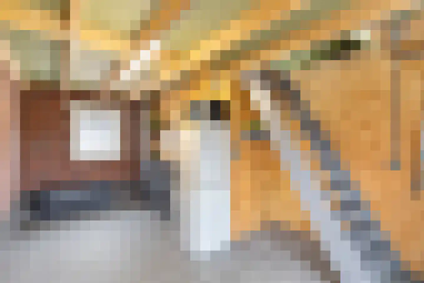 Kanaalweg 7 Overschild thumbnail 35