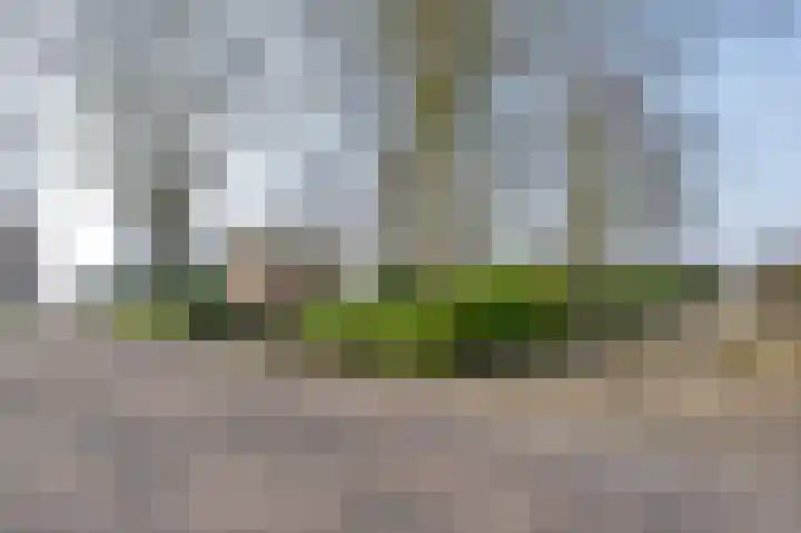 Kanaalweg 72 Smilde thumbnail 58