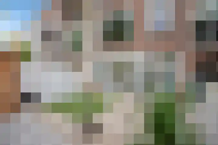 Kanaalweg 75 Den Haag thumbnail 37
