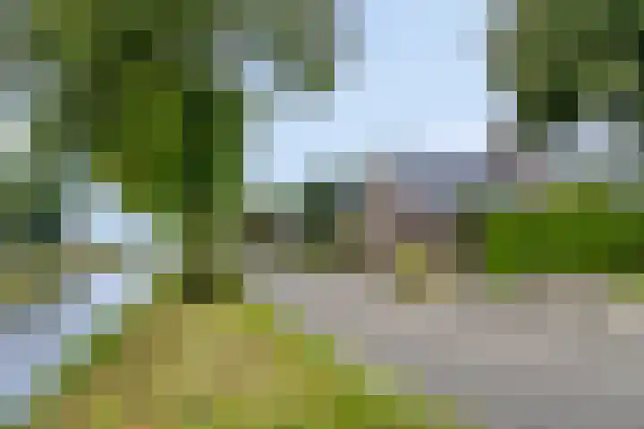 Kanaalweg 76 Smilde thumbnail 65