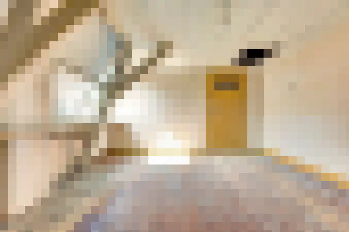 Kanaalweg 81 Utrecht thumbnail 14
