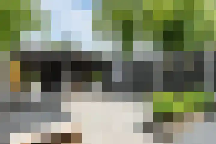 Kanaalweg 89 Hoogeveen thumbnail 34