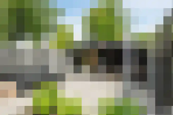 Kanaalweg 89 Hoogeveen thumbnail 5