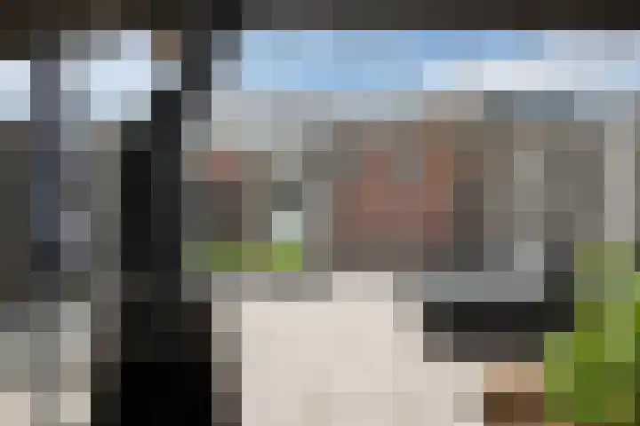 Kanaalweg 89 Hoogeveen thumbnail 6