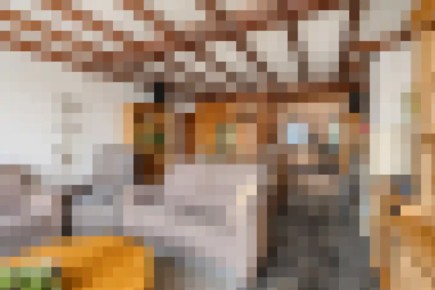 Kanaalweg 89 Sluiskil thumbnail 11