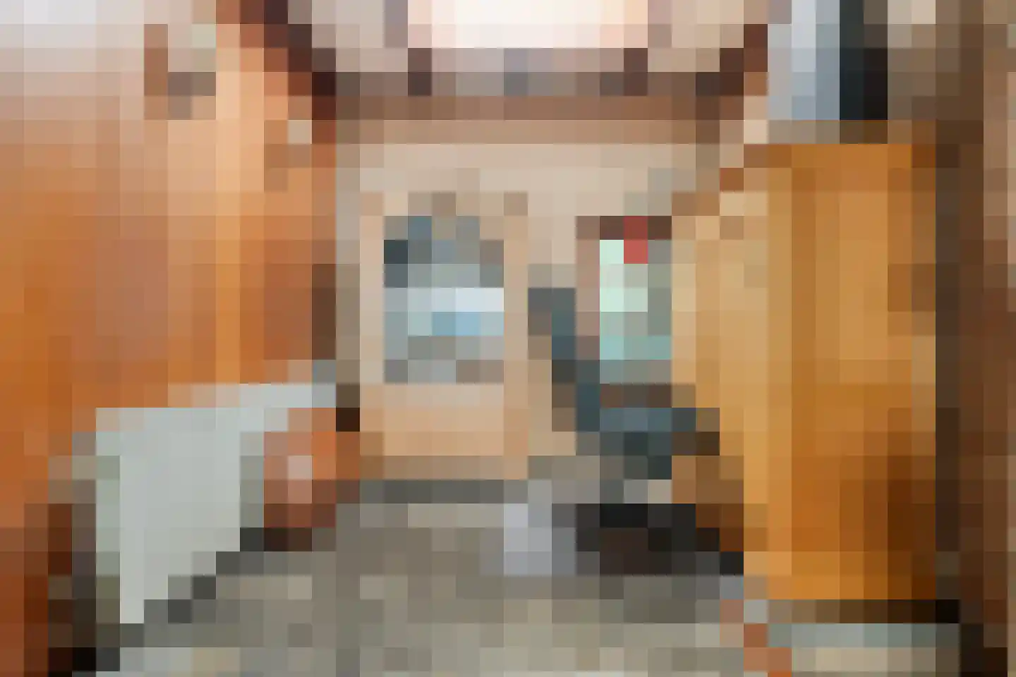 Kanaalweg 89 Sluiskil thumbnail 13