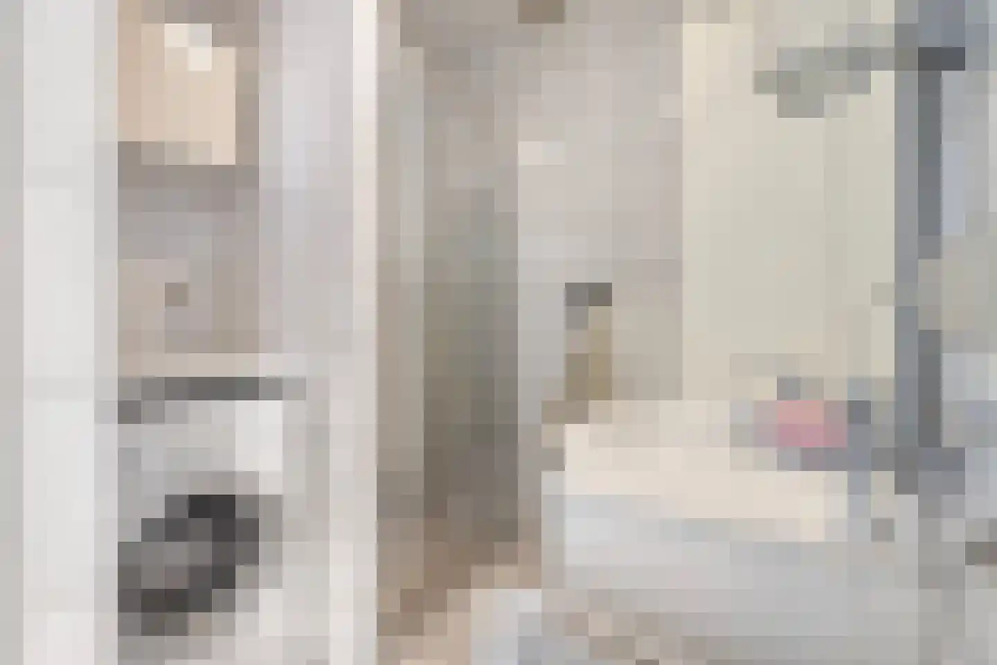 Kanaalweg 89 Sluiskil thumbnail 19