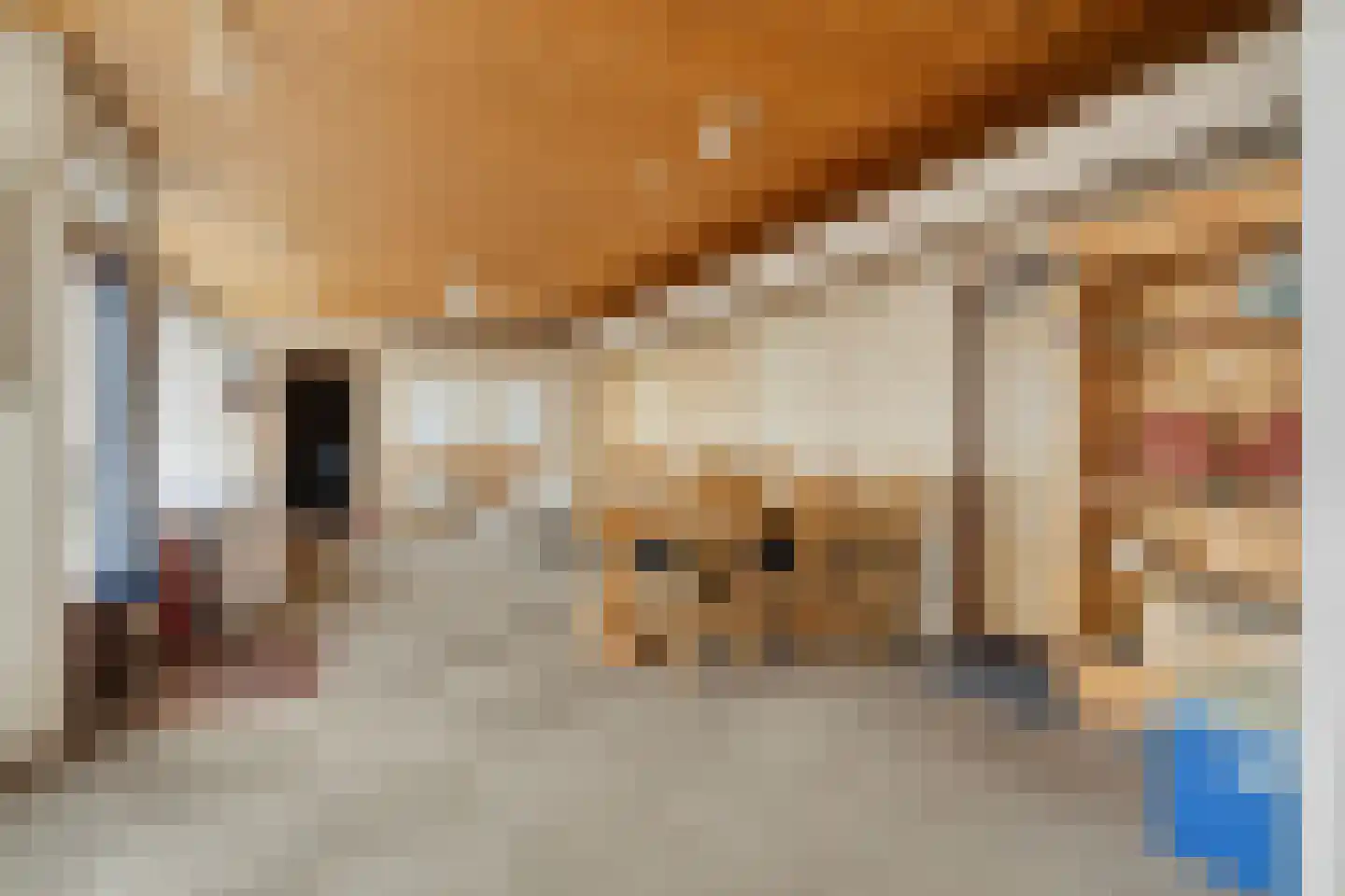 Kanaalweg 89 Sluiskil thumbnail 25