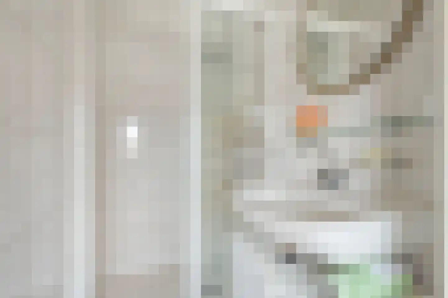 Kanaalweg 89 Sluiskil thumbnail 31