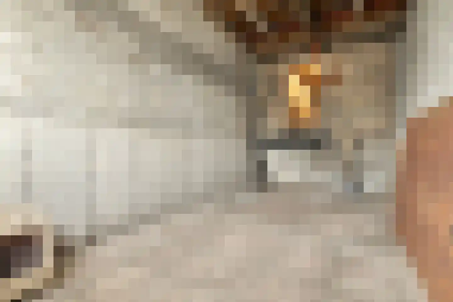 Kanaalweg 89 Sluiskil thumbnail 47