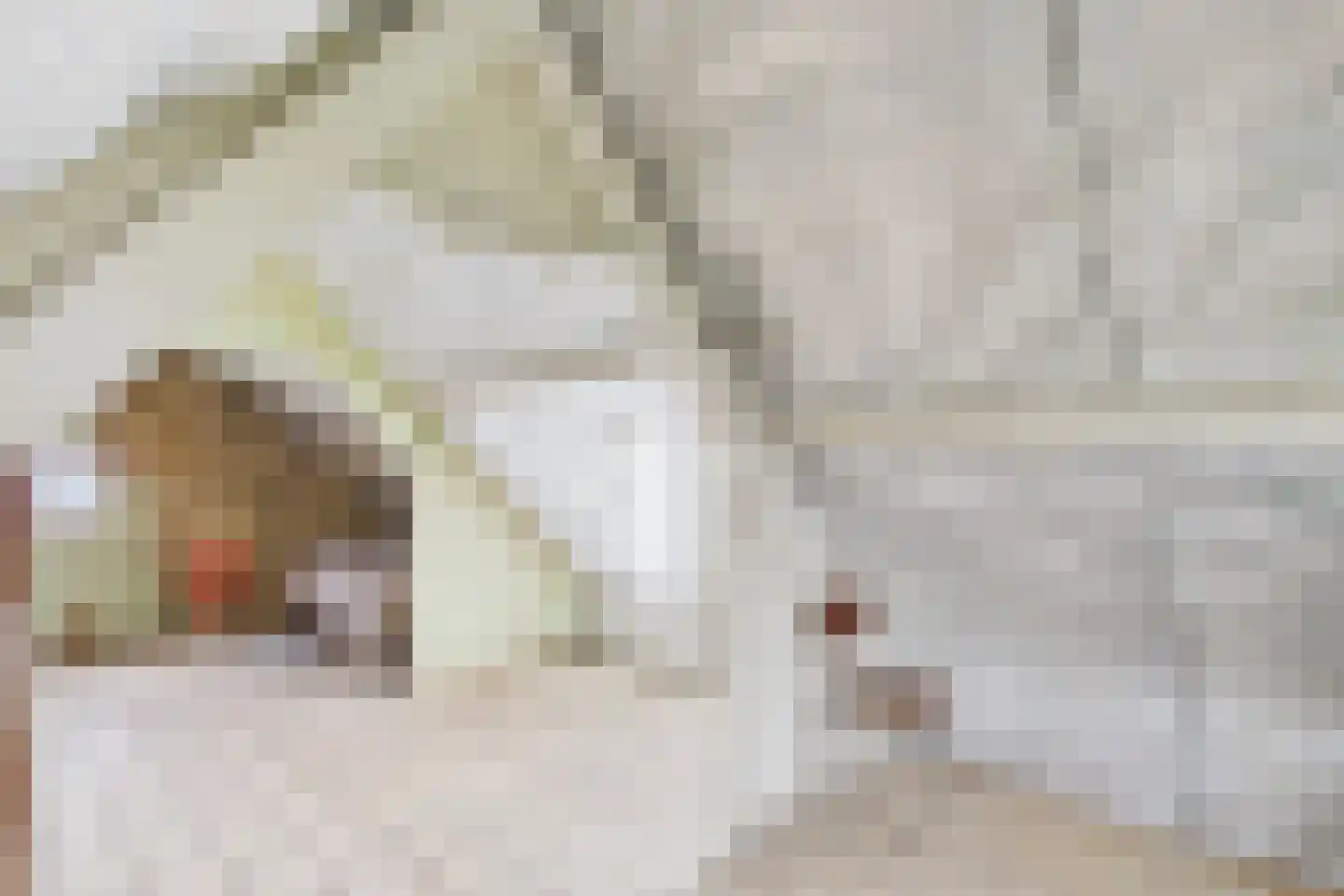 Kanaalweg 92 Sluiskil thumbnail 15