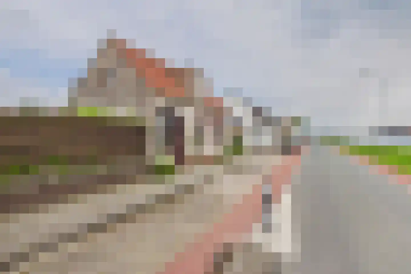 Kanaalweg 92 Sluiskil thumbnail 24