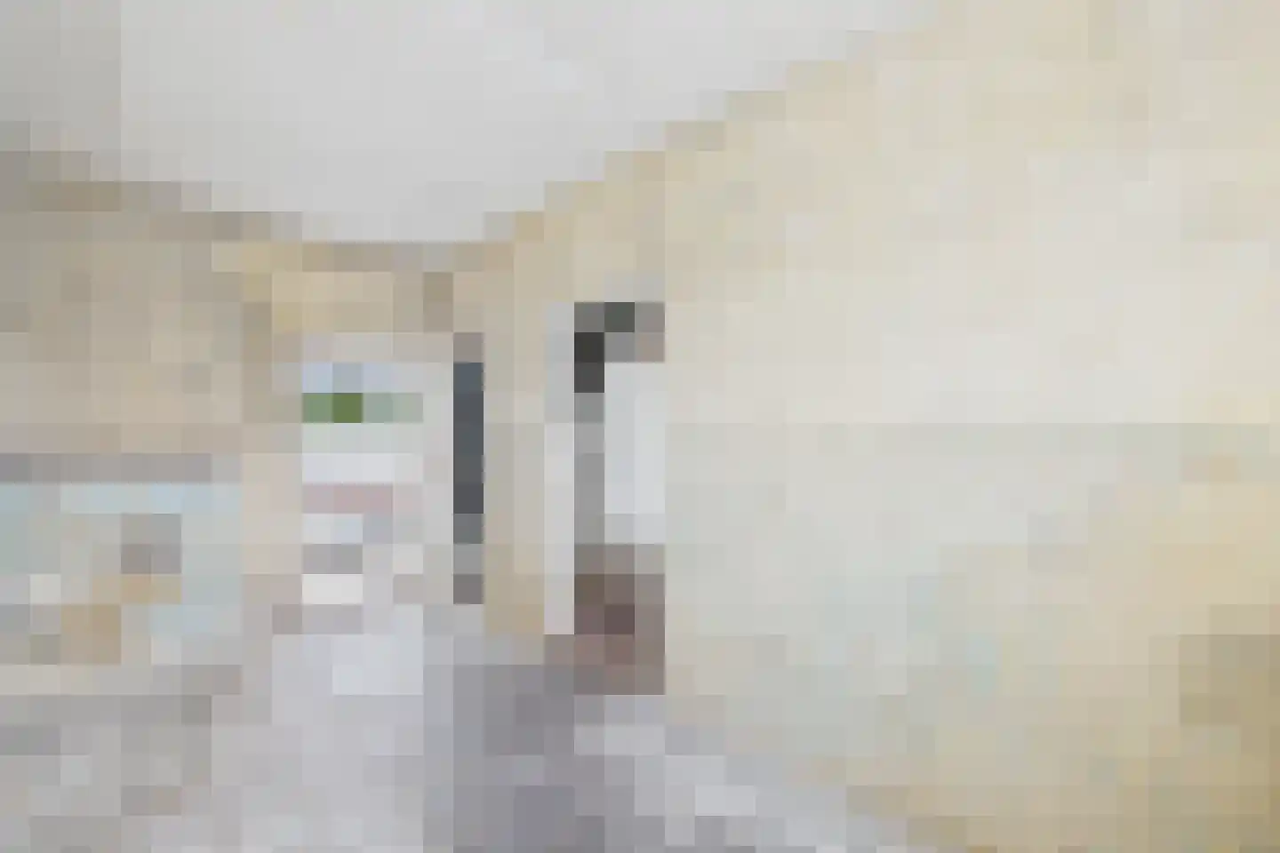 Kanaalweg 92 Sluiskil thumbnail 4
