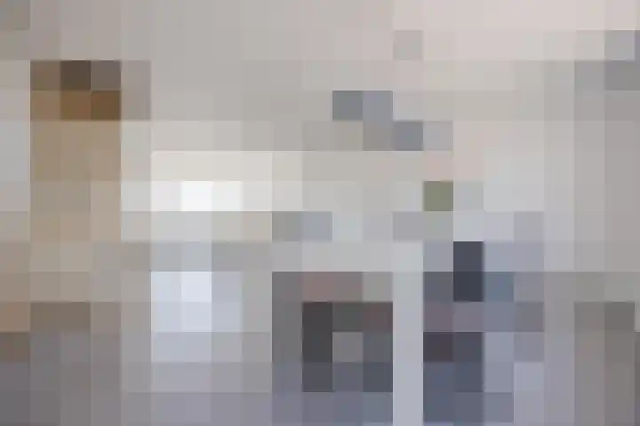 Kanaalweg 98 Sluiskil thumbnail 11