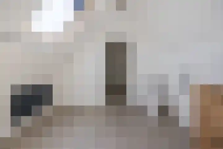 Kanaalweg 98 Sluiskil thumbnail 26