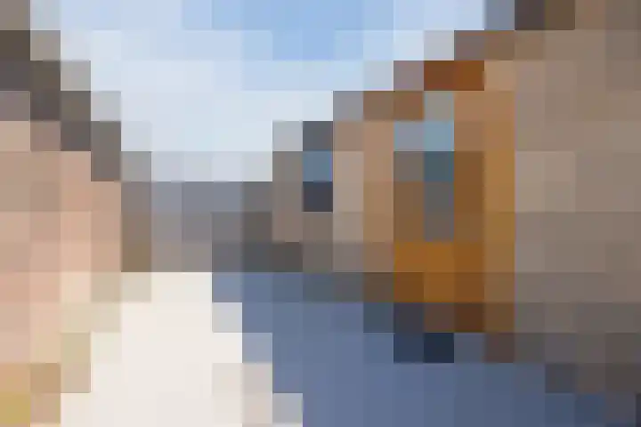 Kanaalweg 98 Sluiskil thumbnail 33