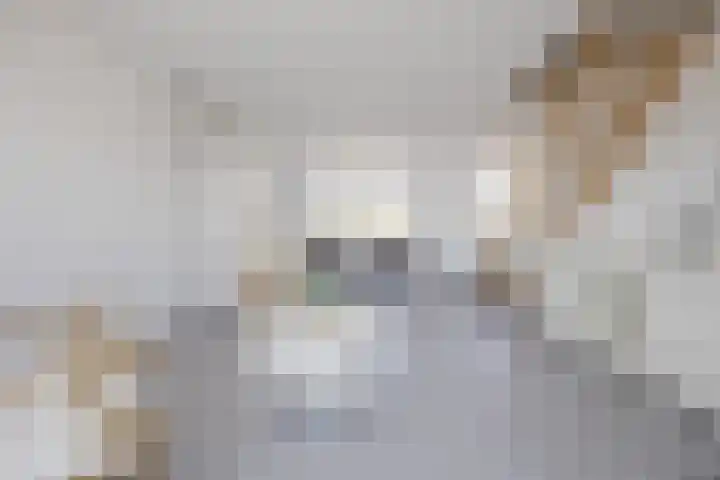 Kanaalweg 98 Sluiskil thumbnail 8