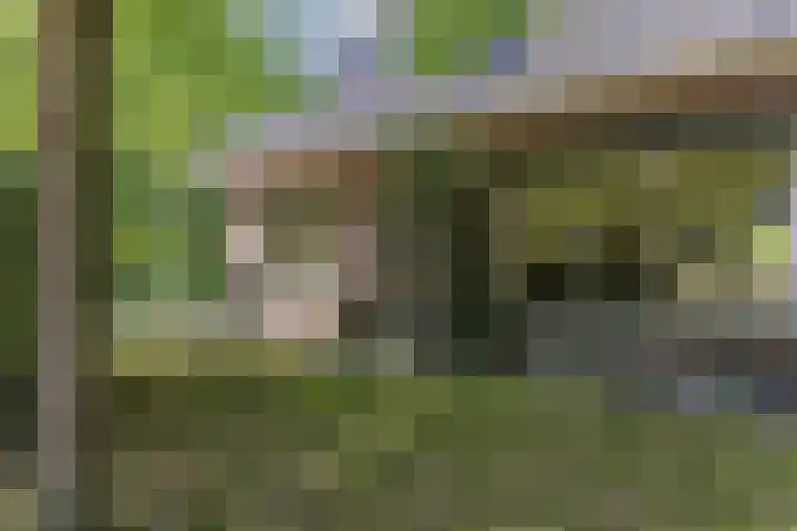 Kanaalweg N.Z. 1 Rossum thumbnail 10