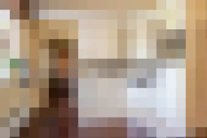 Kanaalweg N.Z. 1 Rossum thumbnail 17