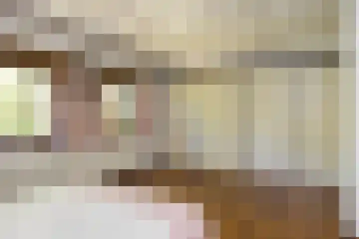 Kanaalweg N.Z. 1 Rossum thumbnail 31